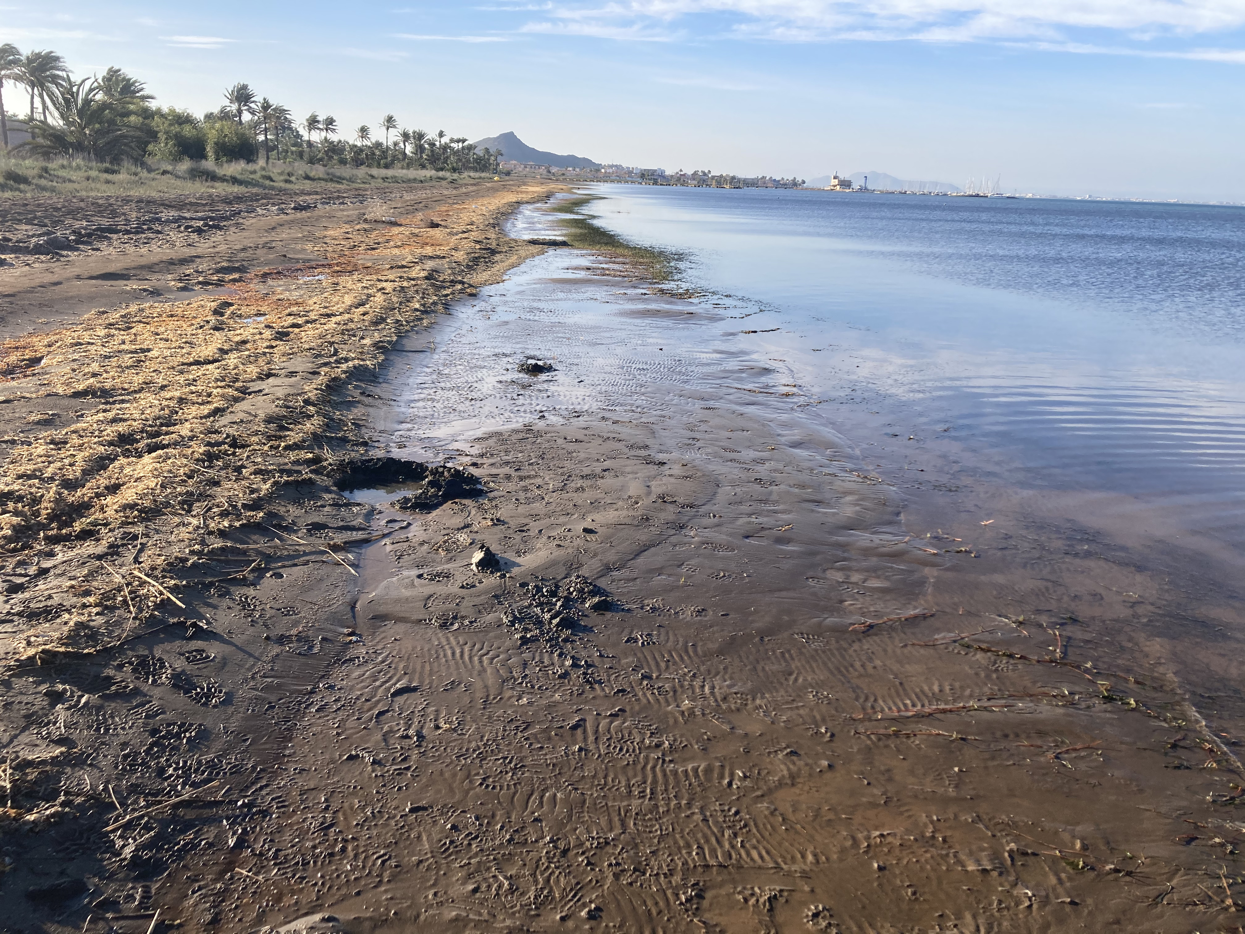 DEGRADACIO MAR MENOR